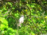 Parque Forestal la Marquesa - GUAYNABO